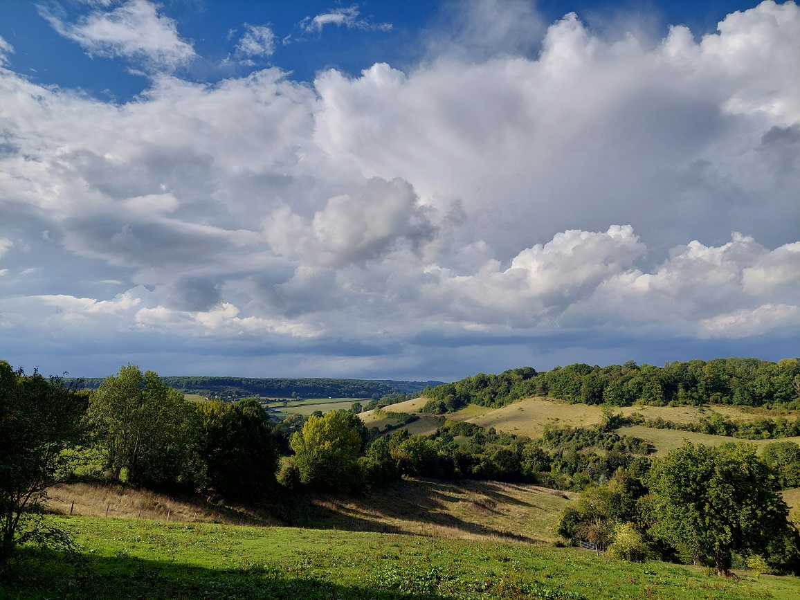 Vue sur un vallon vert avec des champs d'herbe et des arbres, sous un ciel bleu avec nuages